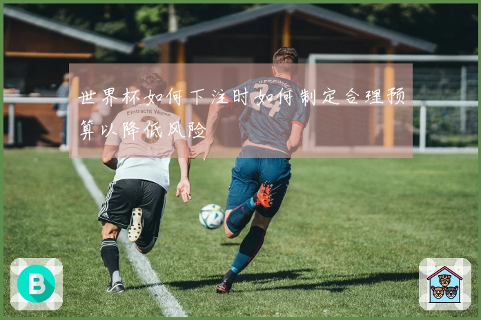 世界杯如何下注时如何制定合理预算以降低风险