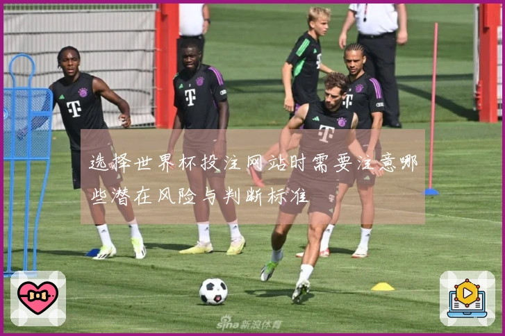 选择世界杯投注网站时需要注意哪些潜在风险与判断标准