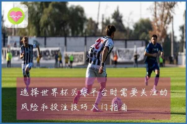 选择世界杯买球平台时需要关注的风险和投注技巧入门指南