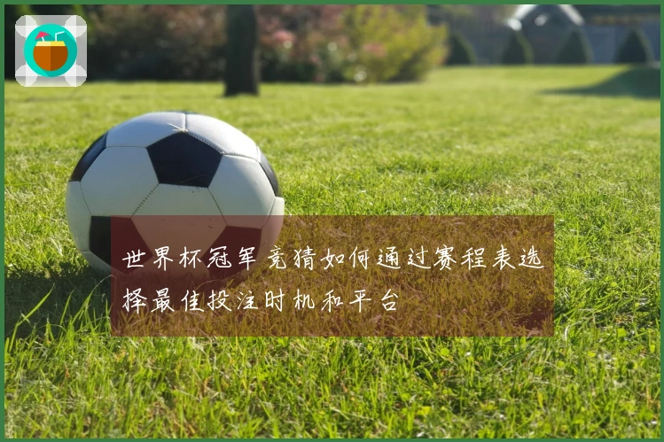 世界杯冠军竞猜如何通过赛程表选择最佳投注时机和平台