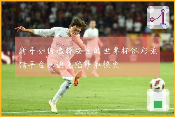 新手如何选择安全的世界杯体彩竞猜平台以避免陷阱和损失