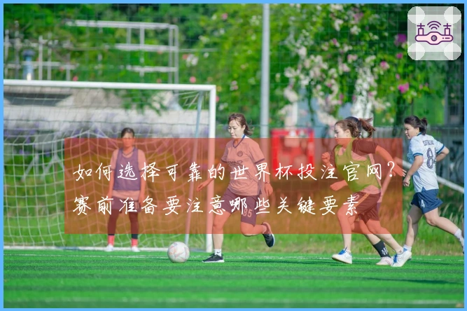 如何选择可靠的世界杯投注官网？赛前准备要注意哪些关键要素