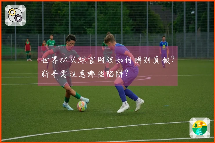 世界杯买球官网该如何辨别真假？新手需注意哪些陷阱？