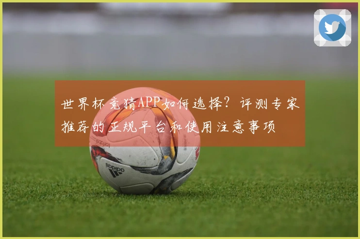 世界杯竞猜APP如何选择？评测专家推荐的正规平台和使用注意事项