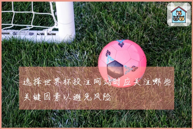 选择世界杯投注网站时应关注哪些关键因素以避免风险