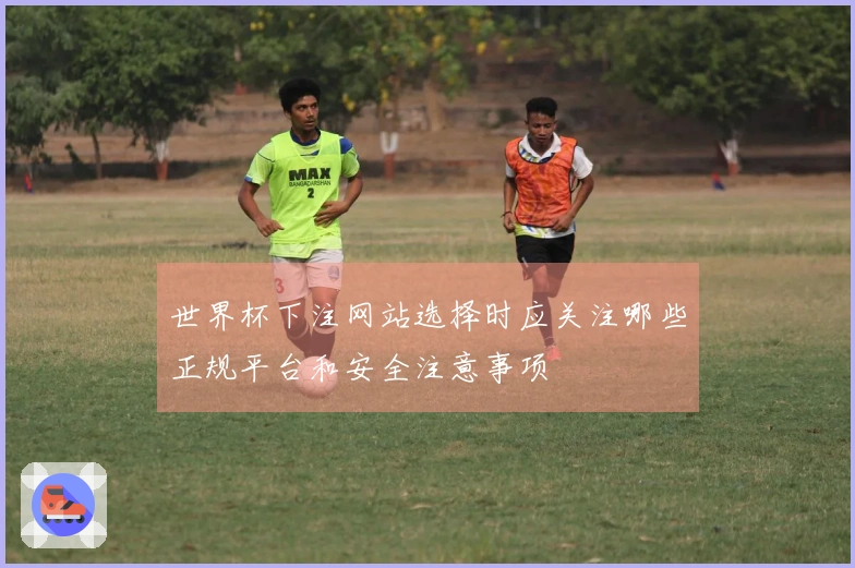 世界杯下注网站选择时应关注哪些正规平台和安全注意事项