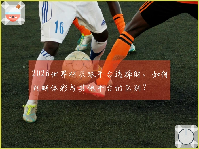 2026世界杯买球平台选择时，如何判断体彩与其他平台的区别？