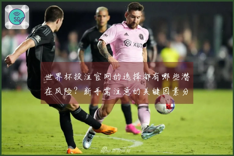 世界杯投注官网的选择都有哪些潜在风险？新手需注意的关键因素分析