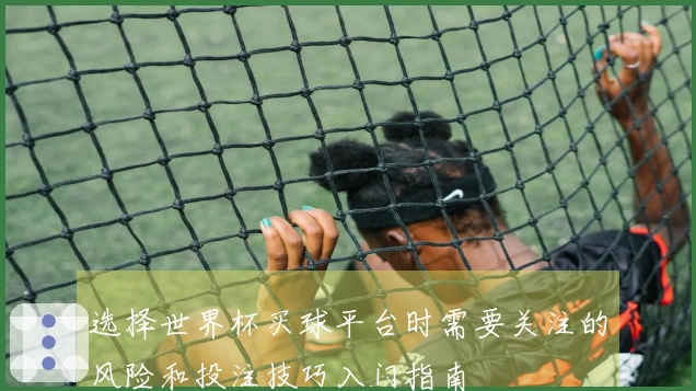 选择世界杯买球平台时需要关注的风险和投注技巧入门指南