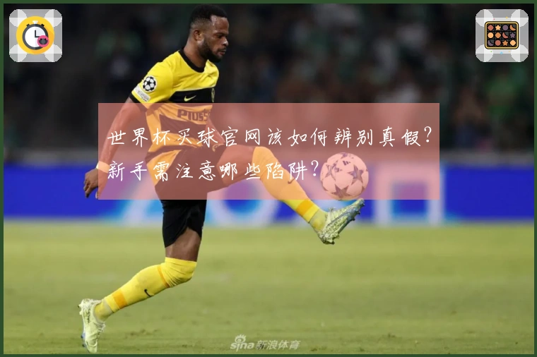 世界杯买球官网该如何辨别真假？新手需注意哪些陷阱？