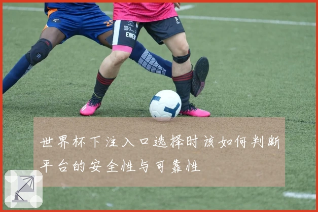 世界杯下注入口选择时该如何判断平台的安全性与可靠性