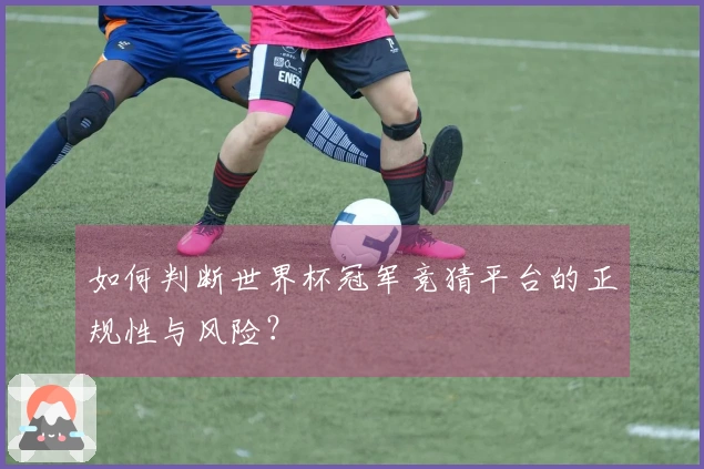 如何判断世界杯冠军竞猜平台的正规性与风险？