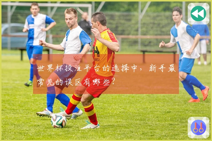 世界杯投注平台的选择中，新手最常见的误区有哪些？