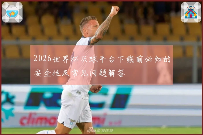2026世界杯买球平台下载前必知的安全性及常见问题解答