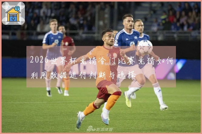 2026世界杯竞猜冷门比赛竞猜如何利用数据进行判断与选择