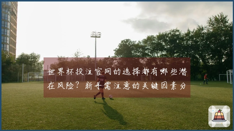 世界杯投注官网的选择都有哪些潜在风险？新手需注意的关键因素分析