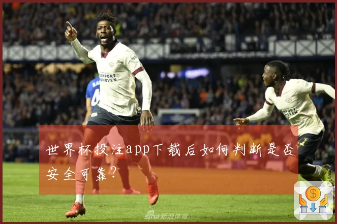世界杯投注app下载后如何判断是否安全可靠？