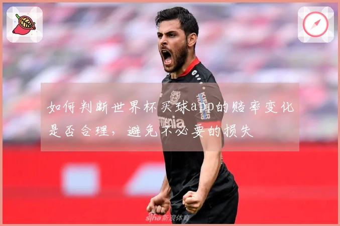 如何判断世界杯买球app的赔率变化是否合理，避免不必要的损失
