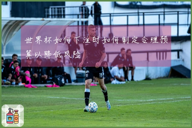 世界杯如何下注时如何制定合理预算以降低风险