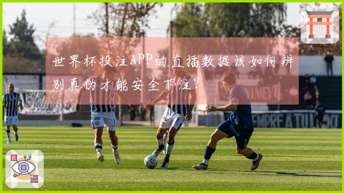 世界杯投注APP的直播数据该如何辨别真伪才能安全下注？