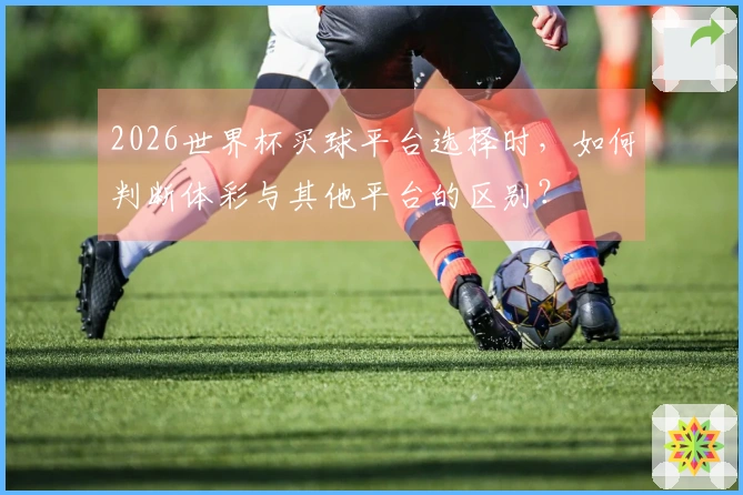 2026世界杯买球平台选择时，如何判断体彩与其他平台的区别？