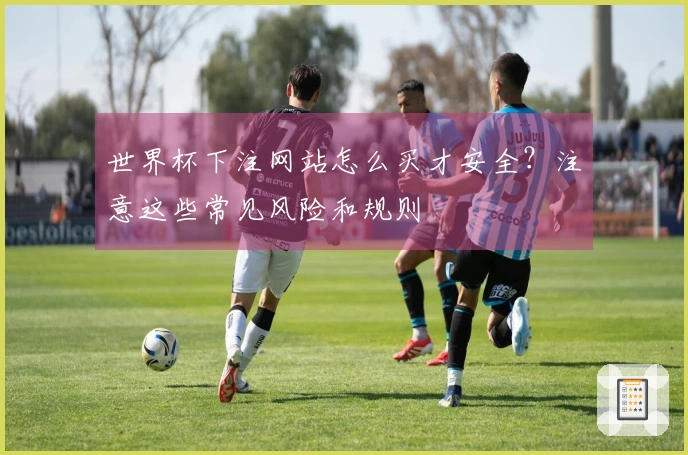 世界杯下注网站怎么买才安全？注意这些常见风险和规则