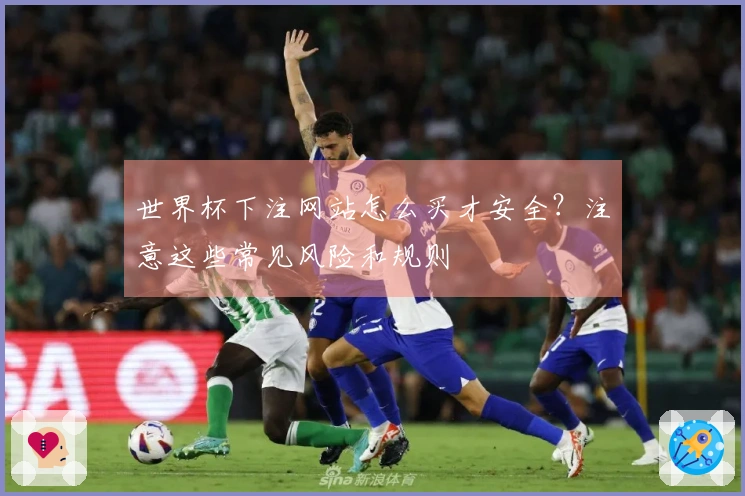 世界杯下注网站怎么买才安全？注意这些常见风险和规则