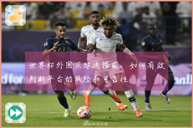 世界杯外围买球选择前，如何有效判断平台的风险和可靠性