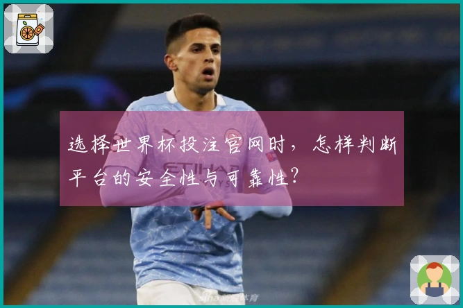 选择世界杯投注官网时，怎样判断平台的安全性与可靠性？
