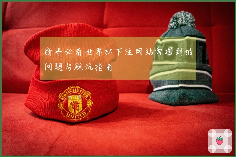 新手必看世界杯下注网站常遇到的问题与踩坑指南