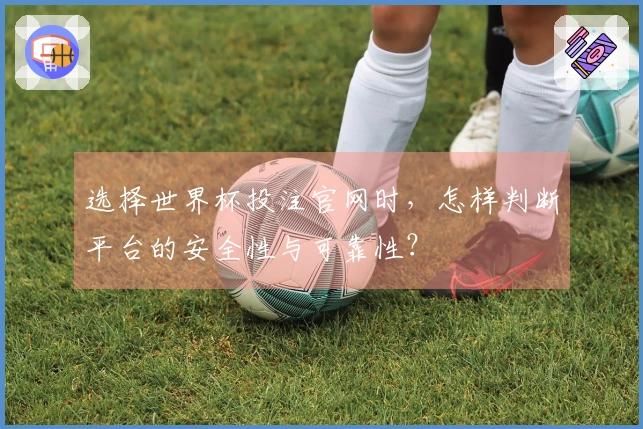 选择世界杯投注官网时，怎样判断平台的安全性与可靠性？