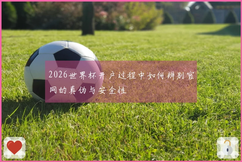 2026世界杯开户过程中如何辨别官网的真伪与安全性