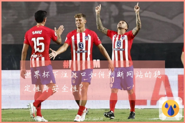 世界杯下注入口如何判断网站的稳定性与安全性？