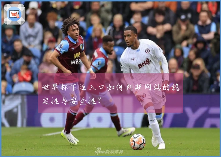 世界杯下注入口如何判断网站的稳定性与安全性？
