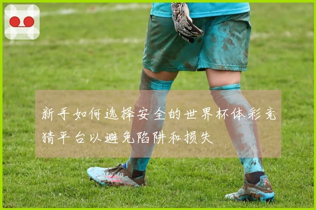 新手如何选择安全的世界杯体彩竞猜平台以避免陷阱和损失
