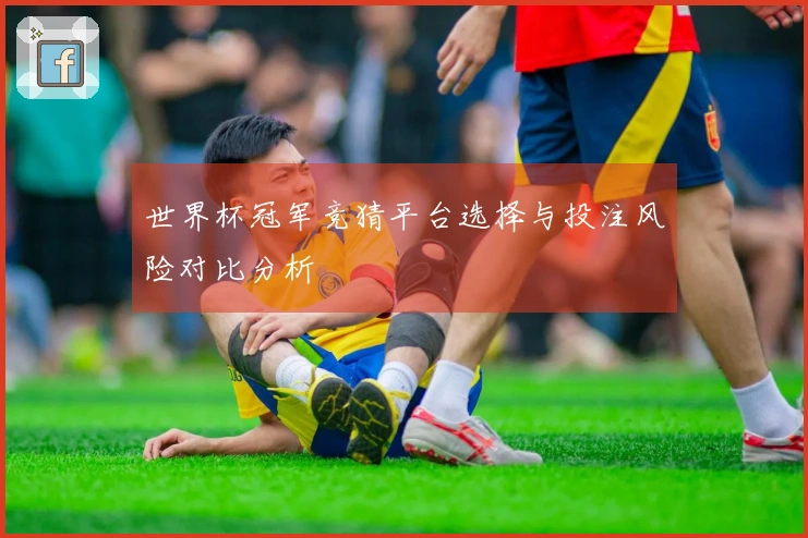 世界杯冠军竞猜平台选择与投注风险对比分析