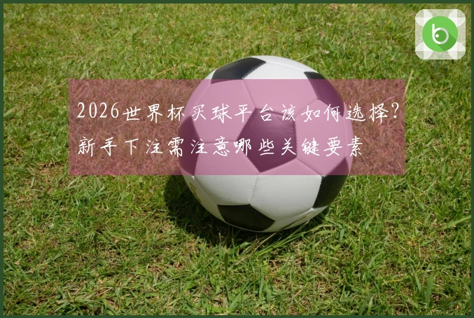 2026世界杯买球平台该如何选择？新手下注需注意哪些关键要素
