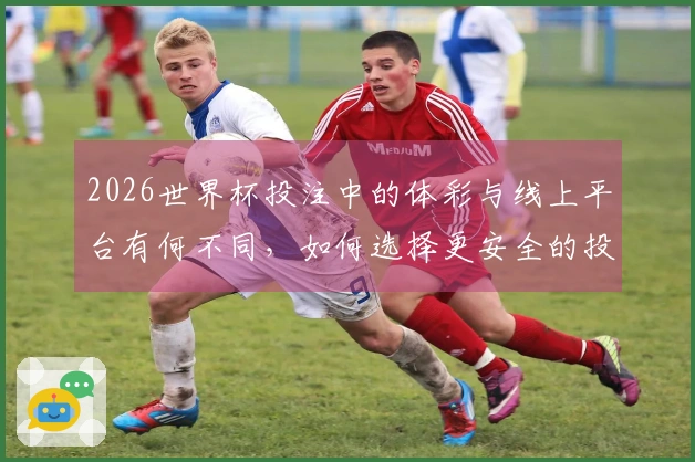 2026世界杯投注中的体彩与线上平台有何不同，如何选择更安全的投注方式？