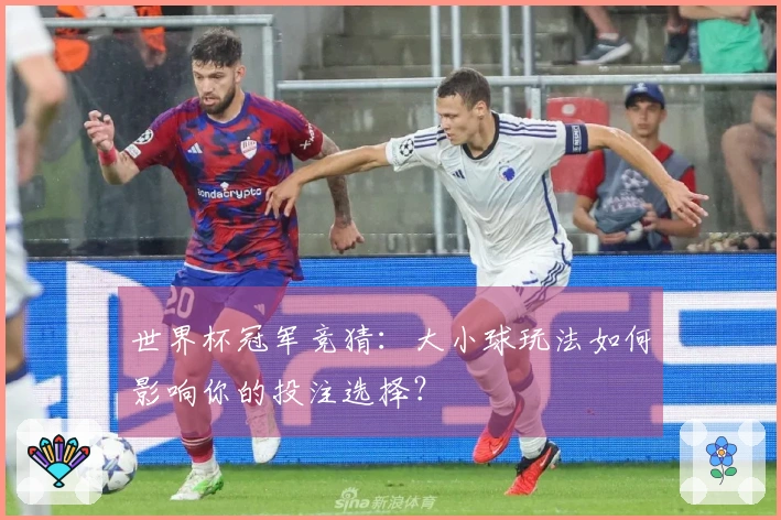 世界杯冠军竞猜：大小球玩法如何影响你的投注选择？