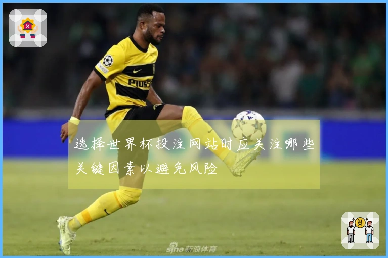 选择世界杯投注网站时应关注哪些关键因素以避免风险