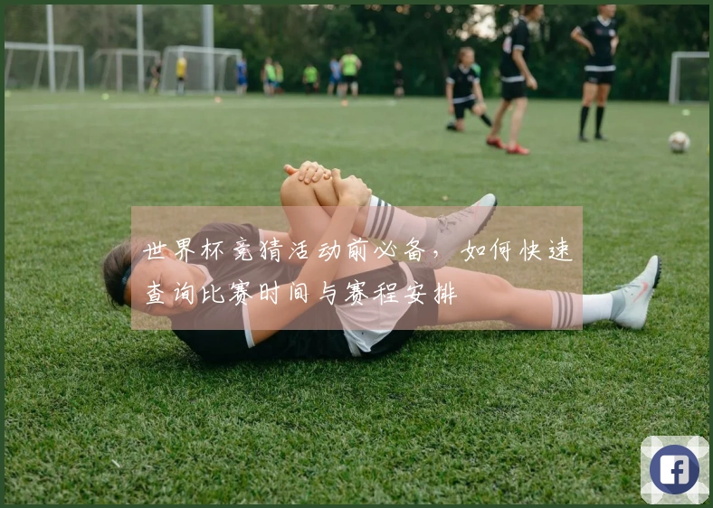 世界杯竞猜活动前必备，如何快速查询比赛时间与赛程安排